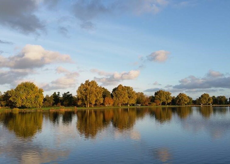 Leven in het ritme van de winter: lessen uit het seizoen van stilte.