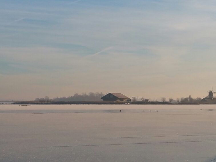 Ontdek de kracht van NEI.